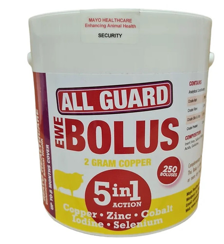 All guard ewe - 1, bolus