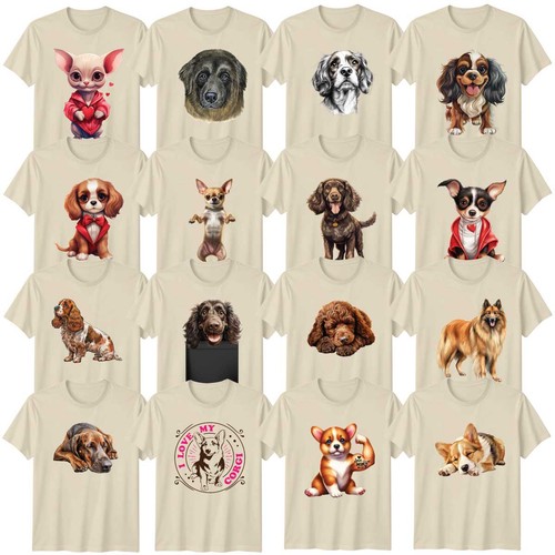 Cocker spaniel corgi - cocker, dogs