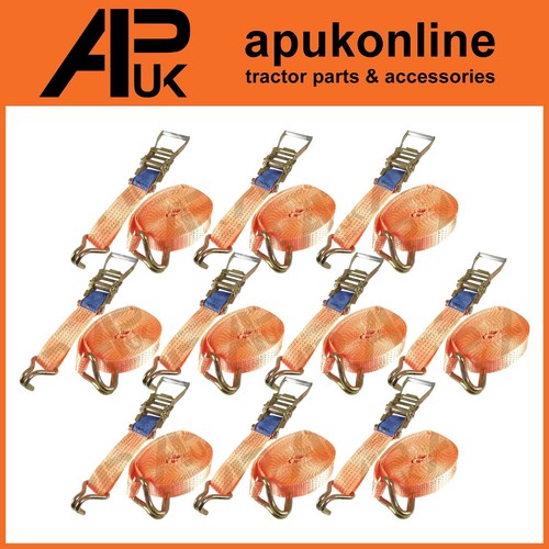 10x ratchet strap tonne - 5,