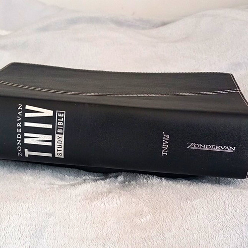 Zondervan niv study - zondervan, bible