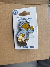 DLP Winnie The Pooh Pin Rain