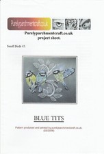 Blue tit wild bird ready - ready, to