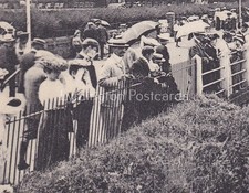 🌞CROWDS LOOKING OVER