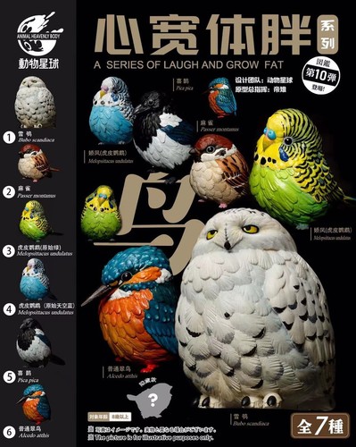 Animal heavenly body bird - animal,