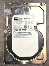 Western Digital WD3000FYYZ