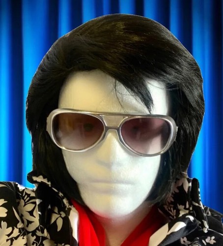 Elvis wig with sideburns - sideburns,