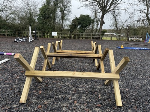 Cavaletti horse jumps - horse,