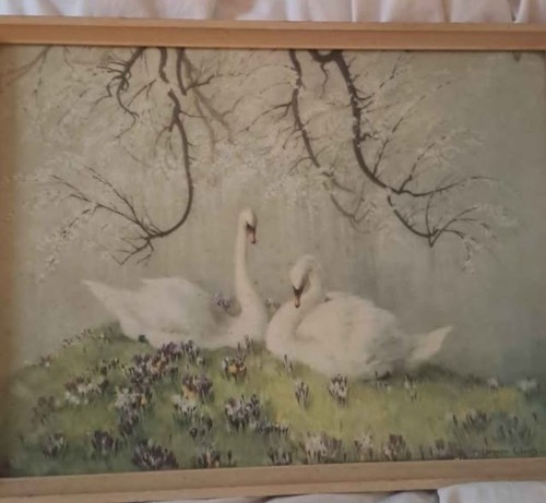 Vernon ward framed vintage - vernon,