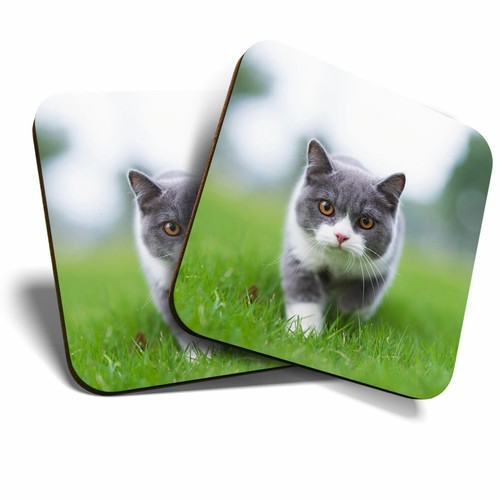 Coasters british - 2,