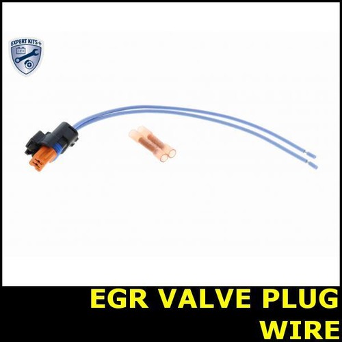 Egr valve plug - egr, wire