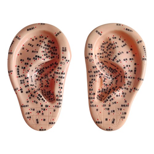 Soft pvc acupuncture ear - soft,