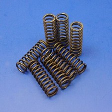 Ford Aquaplane Valve Spring