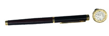 Fountain Pen Iridium Point