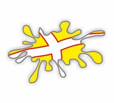 Dorset Paint Splat Flag
