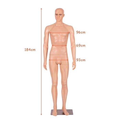 Full body mannequin torso - full,