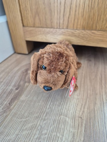 Beanie babies collection - ty,