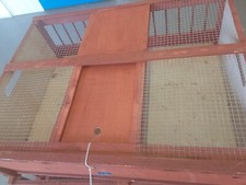 pigeon crates for racing pigions