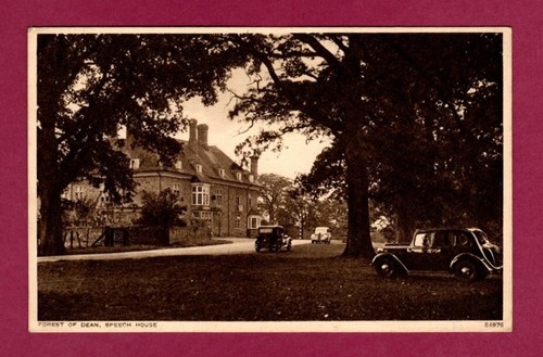 001413 postcard forest - postcard, of