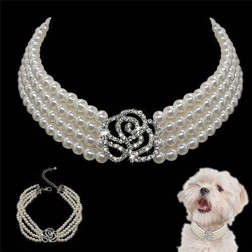 Cat collar puppy pet - cat,