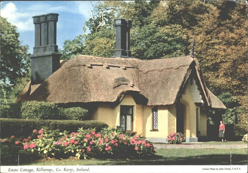Vintage john hinde postcard - vintage,