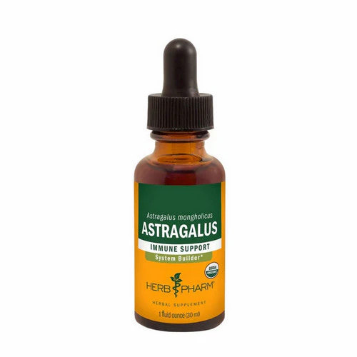Astragalus herb pharm - 1,