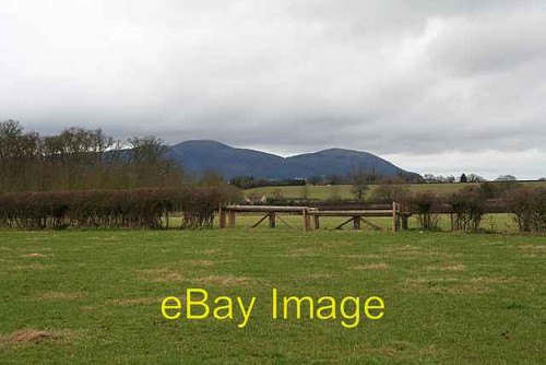 Photo 6x4 cross country jumps - photo,