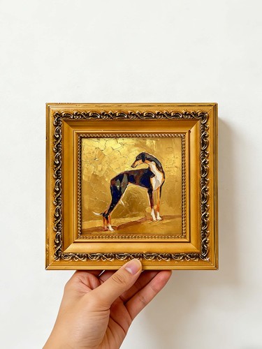 Elegant greyhound dog - greyhound,