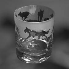 BELGIAN SHEPHERD MALINOIS