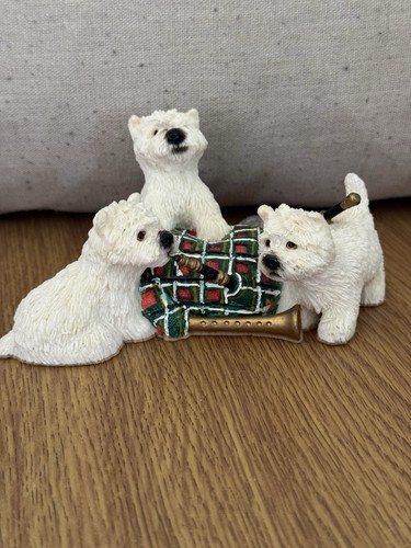 Westie dog west highland - westie,