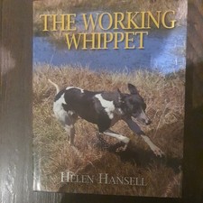 Working Whippet Helen Hansell