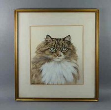 Watercolour Maine Coon Cat Painting British Artist Marjorie Kingston Walker 1920