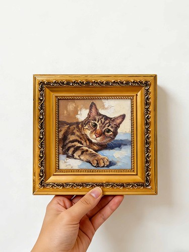Tabby cat lying down - tabby,
