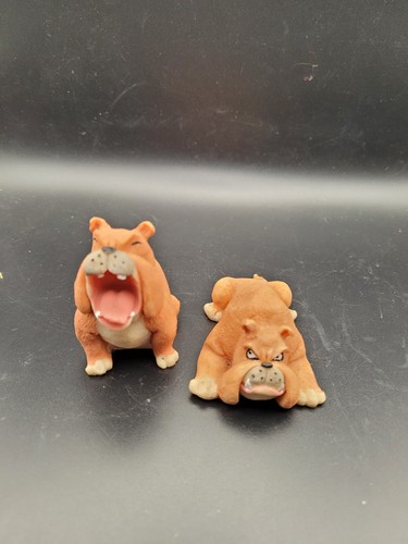 Unmarked miniature bulldogs - unmarked,