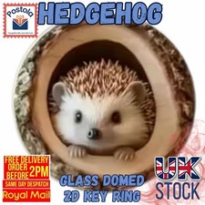 Cute Hedgehog Glass Domed