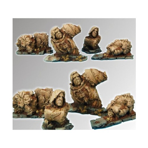 Scibor terrain lion - terrain,