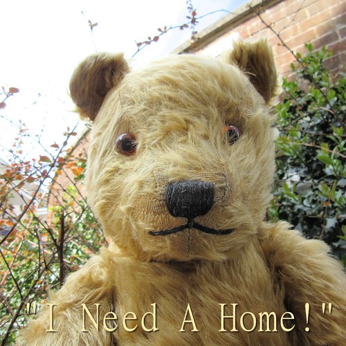 Large chiltern hugmee - large,
