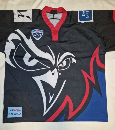 Manchester phoenix hockey - phoenix,