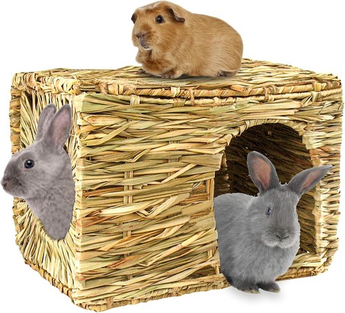 Extra large grass - grass, house