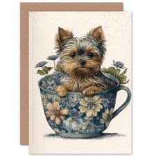 Teacup Yorkshire Terrier Dog