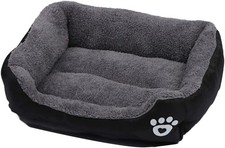Bunty cat dog - bunty, bed