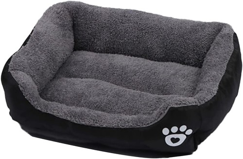 Bunty cat dog - bunty, small