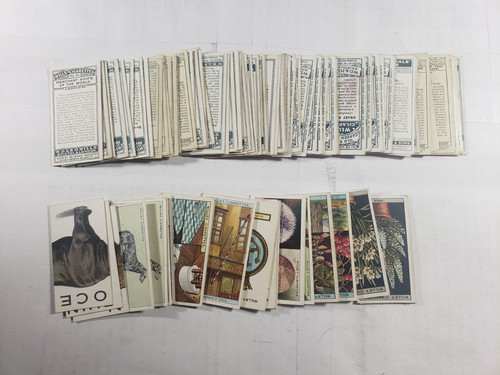 Lot 100 mixed cigarette - lot, of
