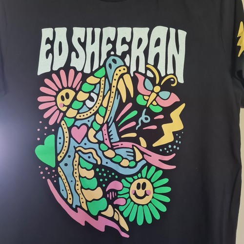 Sheeran mathematics concert - ed,