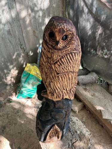 Chainsaw carved owl rocks - carved,