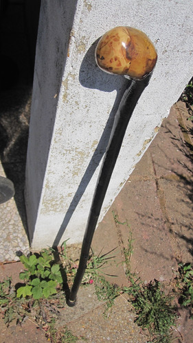 Irish shillelagh blackthorn - irish,