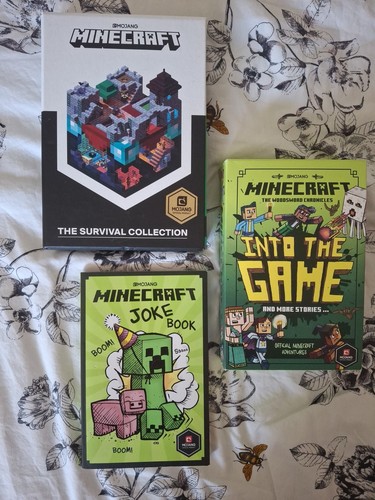 Minecraft book box - 2,