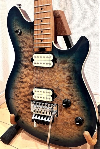 Evh wolfgang special electric - special,