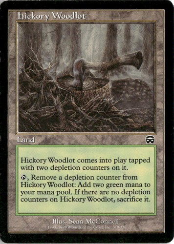 Mtg 1999 hickory woodlot - hickory,