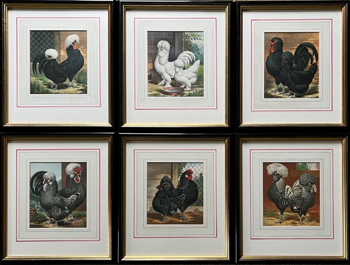 Wright book poultry six - of, poultry: