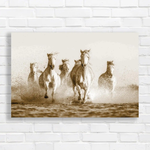 Camargue horses running water - camargue,